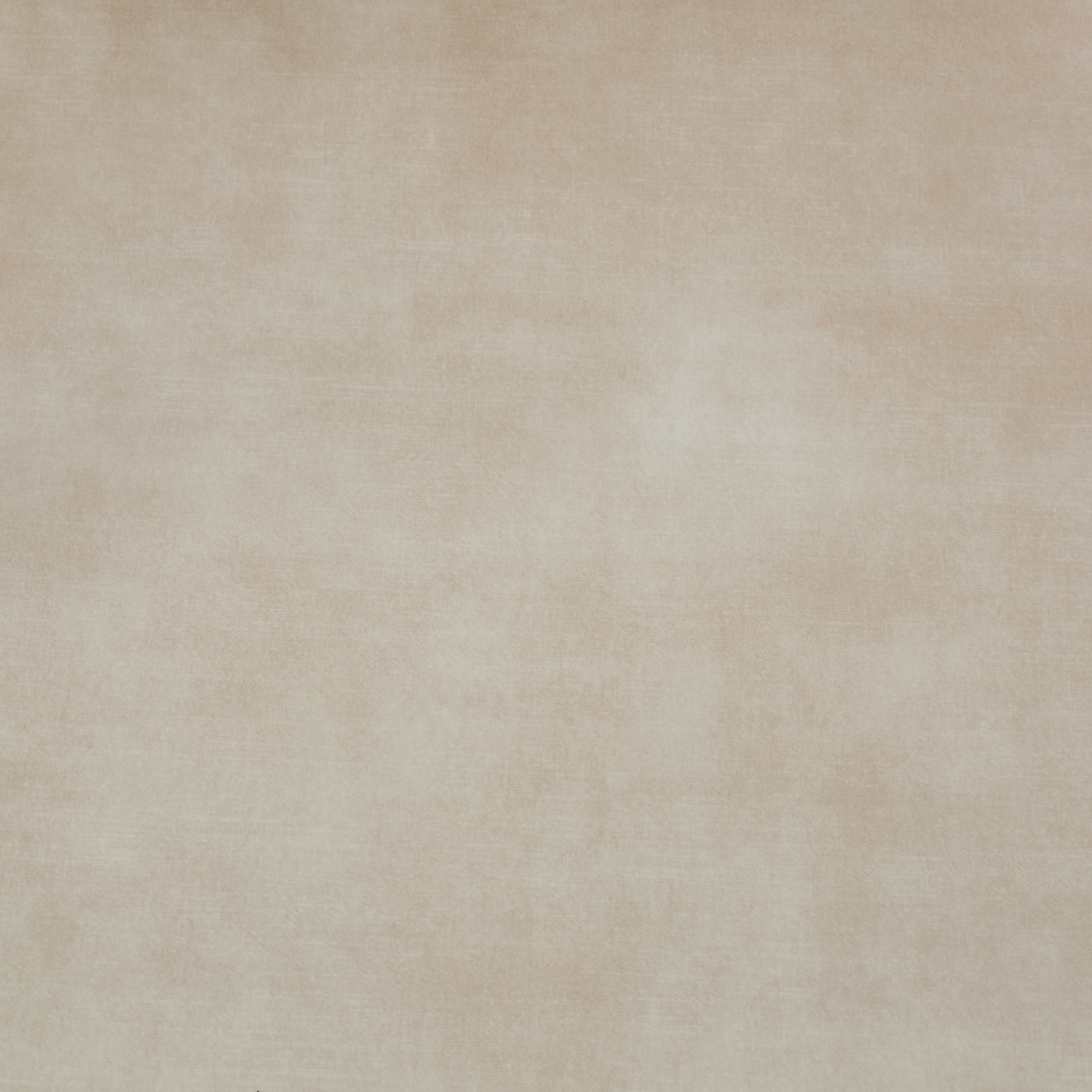 Maria Cream Curved Velvet Dining Chair With Black Metal Frame