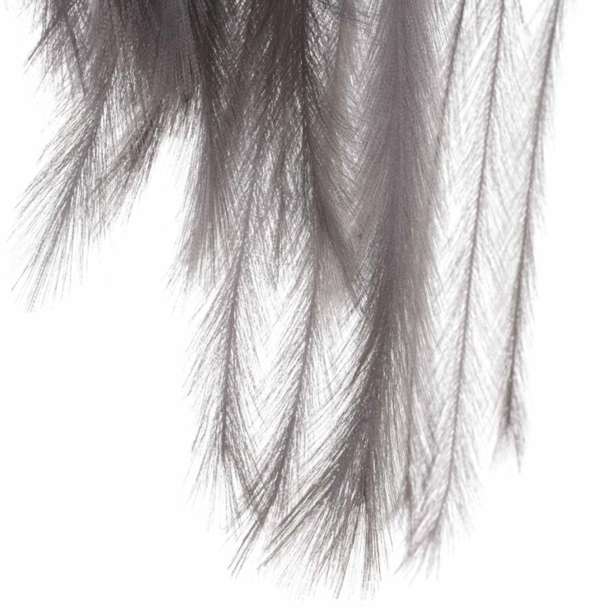 Grey Spray Pampas Stem