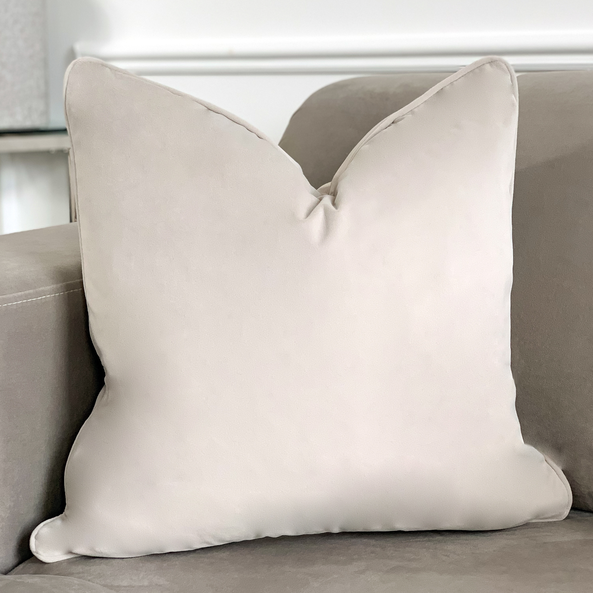 Champagne Velvet Cushion